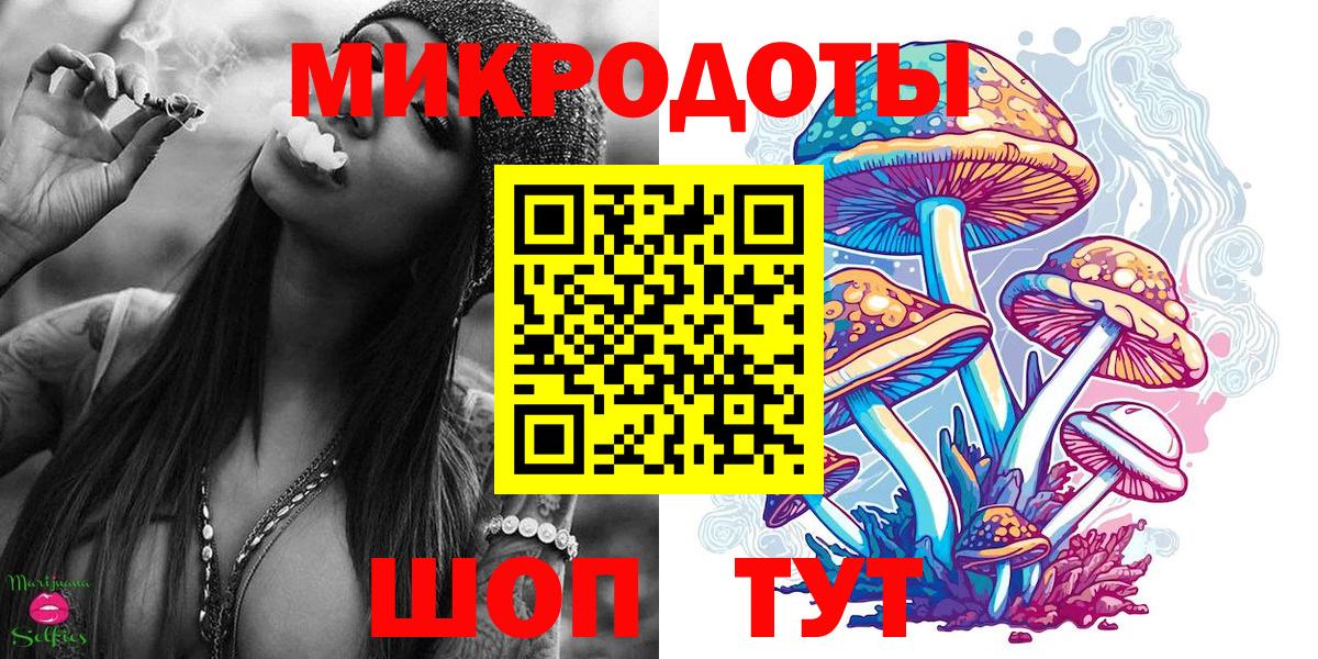 Псилоцибиновые грибы мицелий Кингисепп