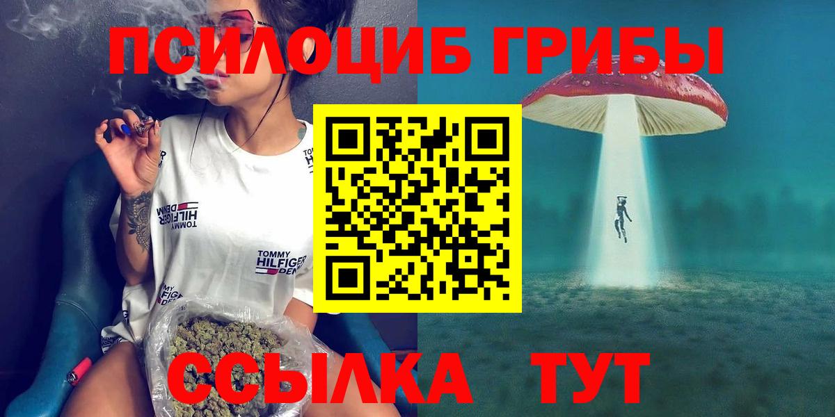 Псилоцибиновые грибы MAGIC MUSHROOMS  Вход с VPN  Галлюциногенные грибы ЛСД  Кингисепп 